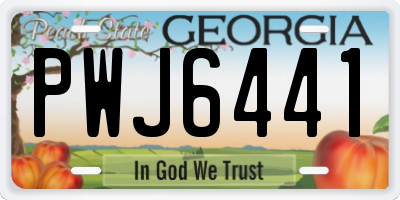 GA license plate PWJ6441