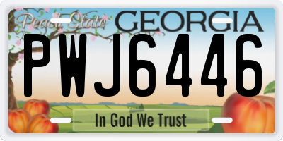 GA license plate PWJ6446
