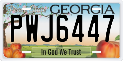 GA license plate PWJ6447
