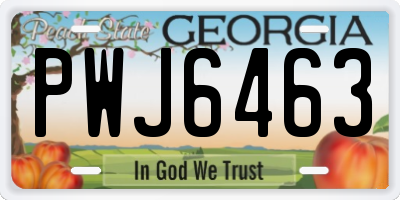 GA license plate PWJ6463