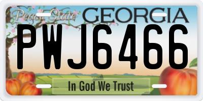 GA license plate PWJ6466