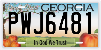 GA license plate PWJ6481