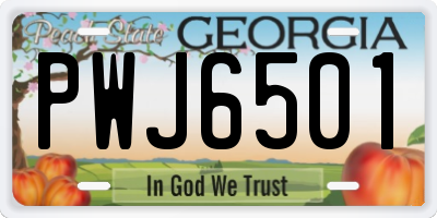GA license plate PWJ6501