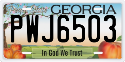 GA license plate PWJ6503