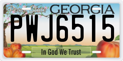 GA license plate PWJ6515