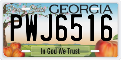 GA license plate PWJ6516