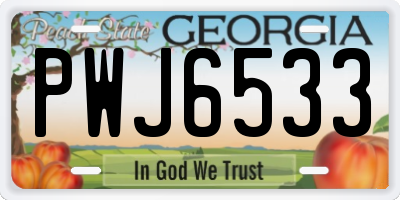 GA license plate PWJ6533