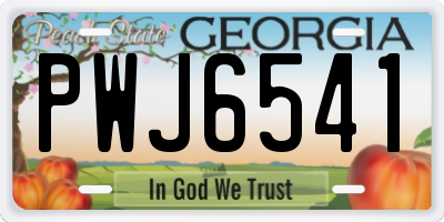 GA license plate PWJ6541