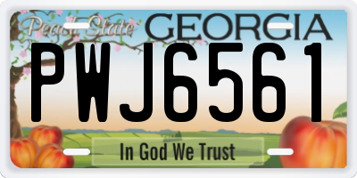 GA license plate PWJ6561