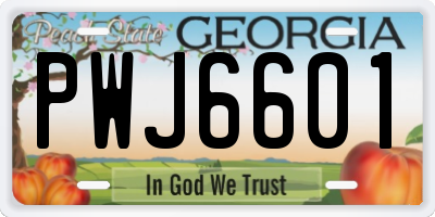 GA license plate PWJ6601