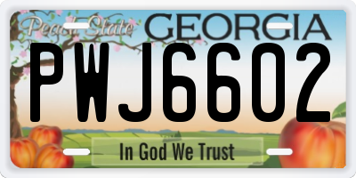 GA license plate PWJ6602
