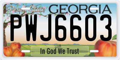 GA license plate PWJ6603