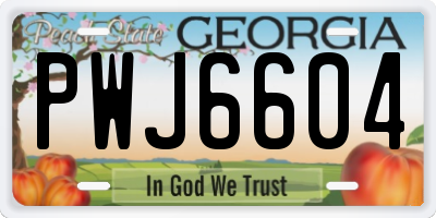 GA license plate PWJ6604