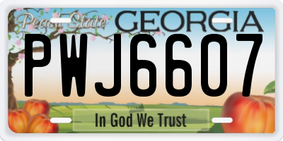 GA license plate PWJ6607