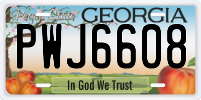 GA license plate PWJ6608