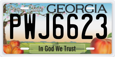 GA license plate PWJ6623