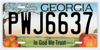 GA license plate PWJ6637