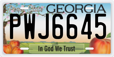 GA license plate PWJ6645