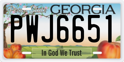 GA license plate PWJ6651