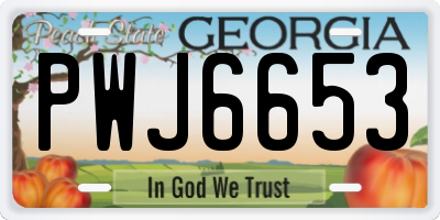 GA license plate PWJ6653