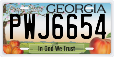 GA license plate PWJ6654