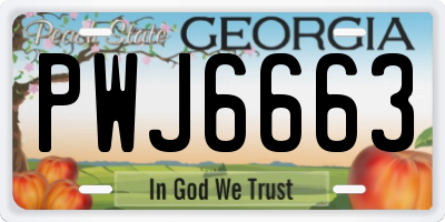 GA license plate PWJ6663