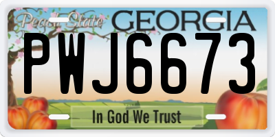 GA license plate PWJ6673