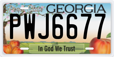 GA license plate PWJ6677