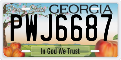 GA license plate PWJ6687