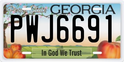 GA license plate PWJ6691