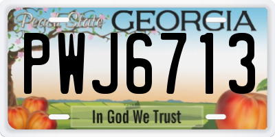 GA license plate PWJ6713