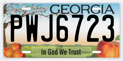 GA license plate PWJ6723