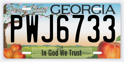 GA license plate PWJ6733