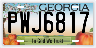 GA license plate PWJ6817