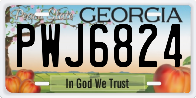 GA license plate PWJ6824