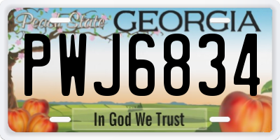 GA license plate PWJ6834