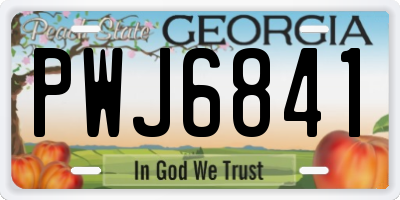 GA license plate PWJ6841