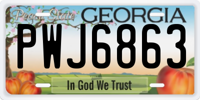 GA license plate PWJ6863