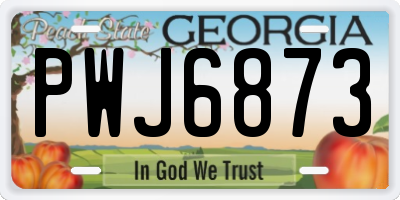GA license plate PWJ6873