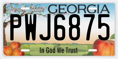 GA license plate PWJ6875