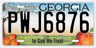 GA license plate PWJ6876