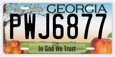GA license plate PWJ6877