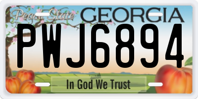 GA license plate PWJ6894