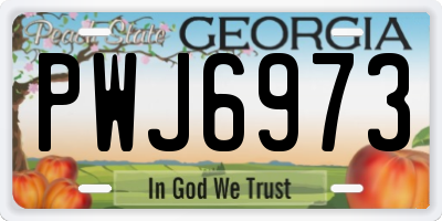 GA license plate PWJ6973