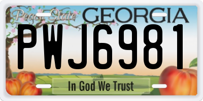 GA license plate PWJ6981