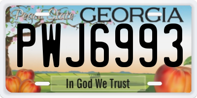 GA license plate PWJ6993