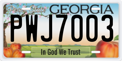 GA license plate PWJ7003