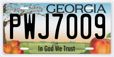 GA license plate PWJ7009