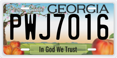 GA license plate PWJ7016