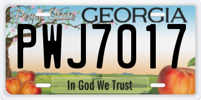 GA license plate PWJ7017